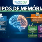 Tipos de Memória: Como o Cérebro Armazena e Recupera Informação